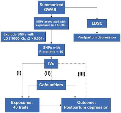 Causal effects of potential risk factors on postpartum depression: a Mendelian randomization study